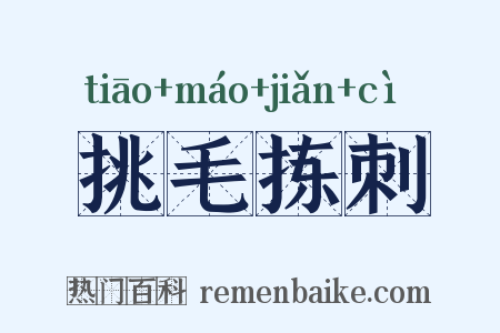 挑毛拣刺是什么意思的图片